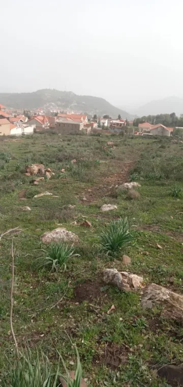 Vente Terrain Tizi Ouzou Yakouren 4