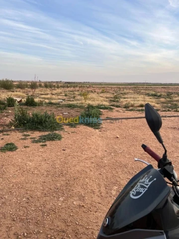 Vente Terrain Laghouat El assafia 3