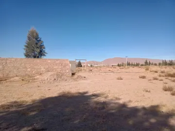 Vente Terrain Agricole Naâma Sfissifa 7