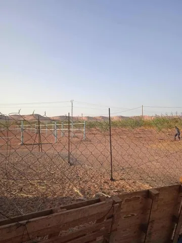 Vente Terrain Agricole Béchar Lahmar 3
