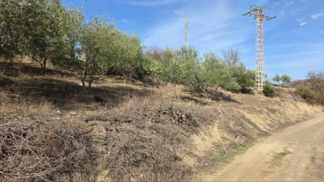 Vente Terrain Sétif Hammam guergour 4