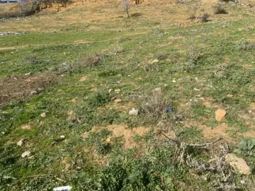 Vente Terrain Médéa Medea 6