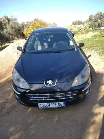 Peugeot 407 2005 7