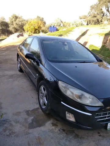 Peugeot 407 2005 5