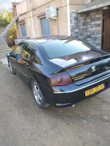 Peugeot 407 2005 8