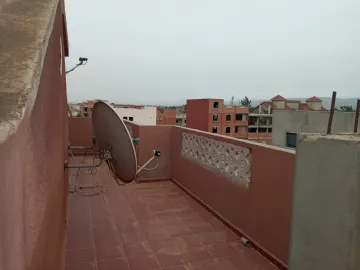 Location Villa Alger Les eucalyptus 19