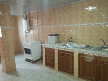 Location Villa Alger Les eucalyptus