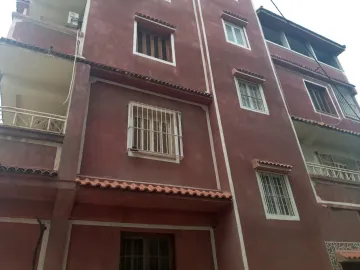 Location Villa Alger Les eucalyptus 9