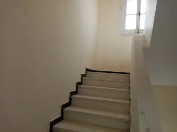 Location Villa Alger Les eucalyptus 6