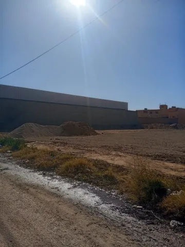Vente Terrain Laghouat Laghouat 4