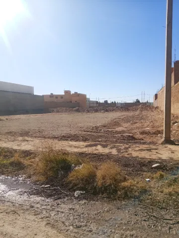 Vente Terrain Laghouat Laghouat 3