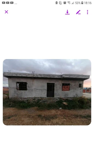 Vente Carcasse Tlemcen Maghnia 20