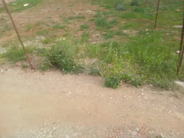 Vente Terrain Boumerdès Ouled hedadj 6
