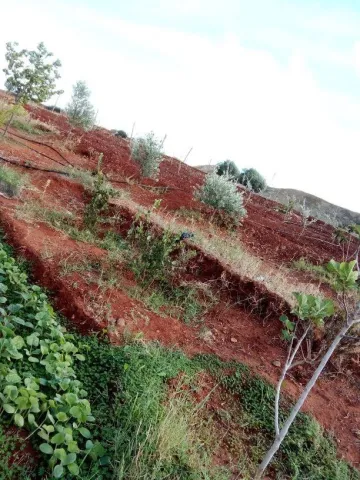 Vente Terrain Chlef Chlef 17