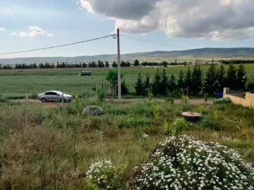 Vente Terrain Chlef Chlef 13