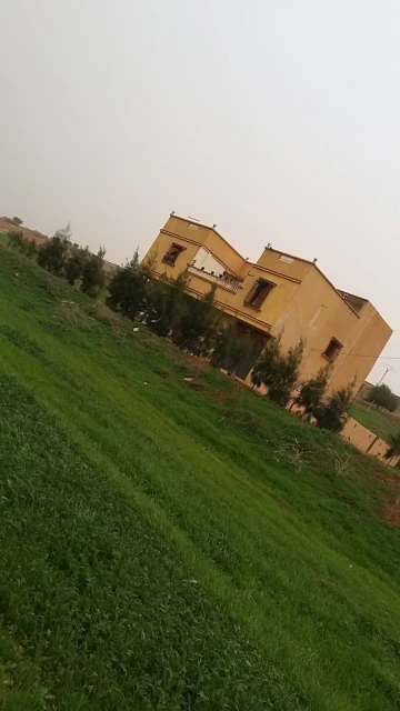 Vente Terrain Chlef Chlef 24