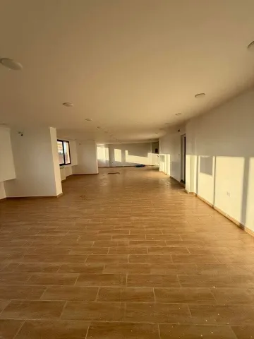 Vente Local Sidi Bel Abbès Sidi bel abbes 13