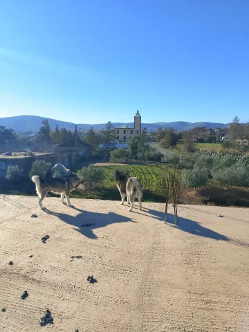 Vente Terrain Médéa Beni slimane 17