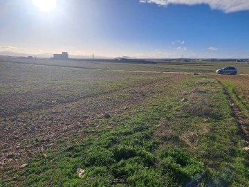 Vente Terrain Sétif Guidjel
