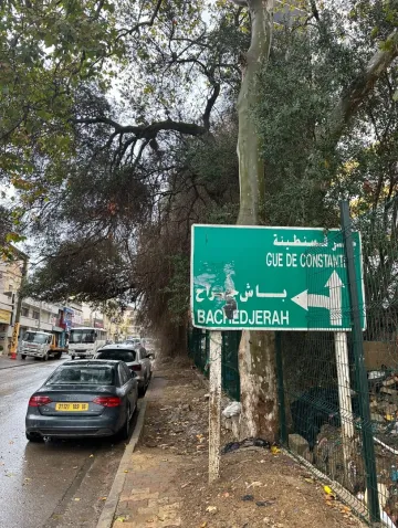 Vente Terrain Alger Bachdjerrah 12