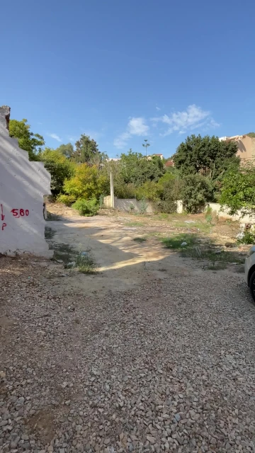 Vente Terrain Alger El achour