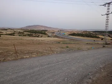 Location Terrain Médéa Berrouaghia 2