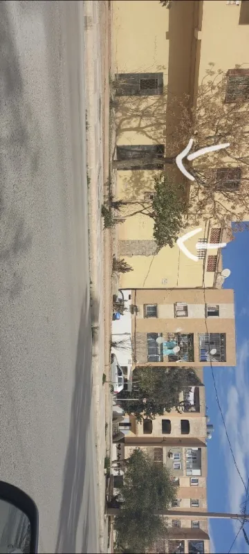 Vente Local Sidi Bel Abbès Sidi bel abbes 2