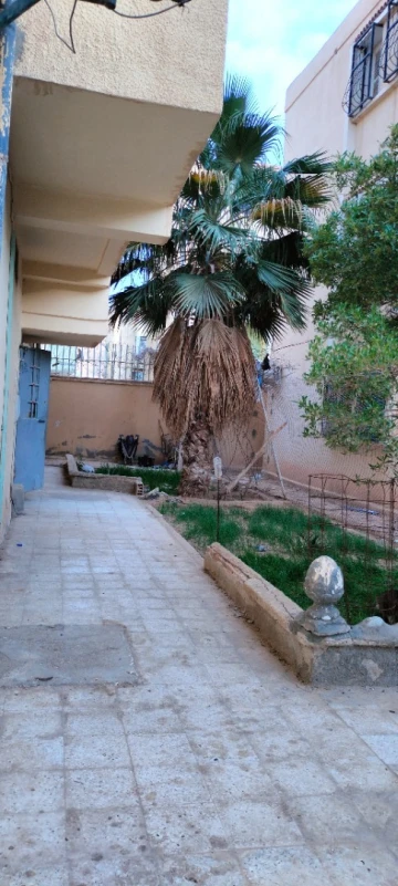 Vente Appartement F3 Biskra Biskra 8