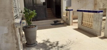 Vente Appartement F3 Saïda Saida 6