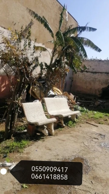 Vente Carcasse Tipaza Fouka 3
