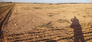 Vente Terrain Agricole Djelfa Ain oussara 6