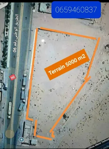 Vente Terrain Naâma Djeniane bourzeg