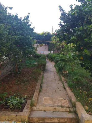 Vente Villa Alger Hammamet 13