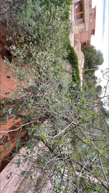 Vente Villa Tlemcen Tlemcen 7