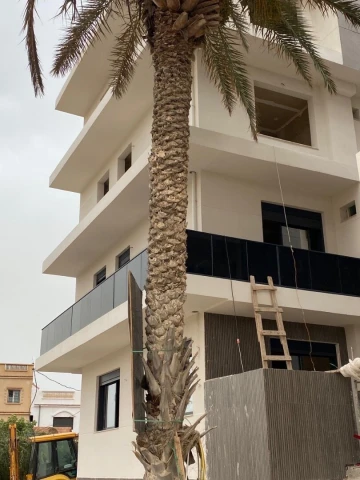 Vente Appartement Aïn Témouchent Bou zedjar 3