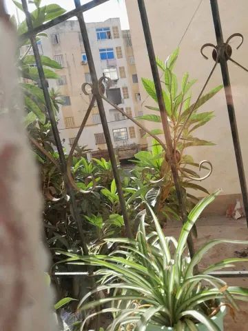 Vente Appartement F4 Boumerdès Zemmouri 14