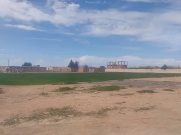Vente Terrain Sidi Bel Abbès Amarnas 6