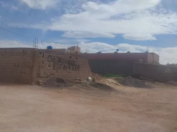 Vente Terrain Sidi Bel Abbès Amarnas 5