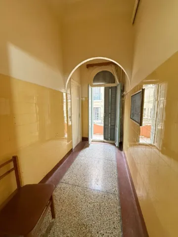 Vente Appartement F6 Sidi Bel Abbès Sidi bel abbes 12