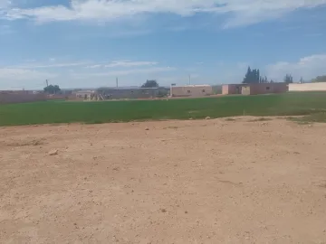 Vente Terrain Sidi Bel Abbès Amarnas 4
