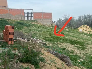 Vente Terrain Tlemcen Tlemcen 8