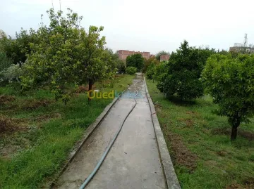 Vente Villa Constantine Hamma bouziane 6
