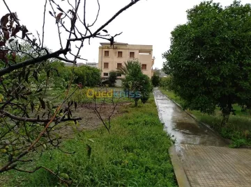 Vente Villa Constantine Hamma bouziane 8