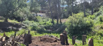 Vente Terrain Tipaza Larhat 5