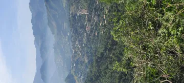 Vente Terrain Tipaza Larhat 4