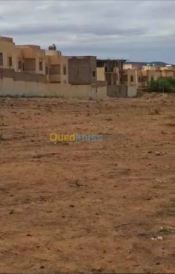 Vente Terrain Saïda Saida 2