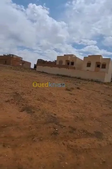 Vente Terrain Saïda Saida 6