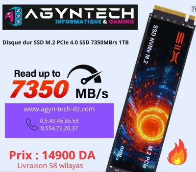 Disque dur SSD SIX NVMe M.2 PCIe 4.0  1TB Ultra Rapide 7350MB/s 