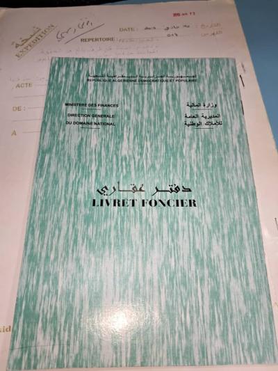 بيع أرض تيبازة القليعة