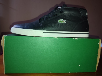 Ouedkniss hotsell basket lacoste